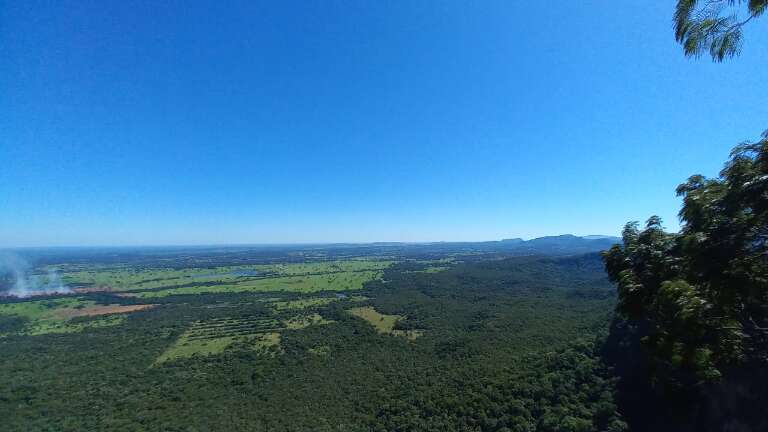 Campo Grande News