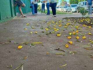 Em vez de santinhos, calçada da Escola Estadual Maestro Frederico Liebermann amanheceu com flores caídas de árvore (Foto: Marcos Maluf)