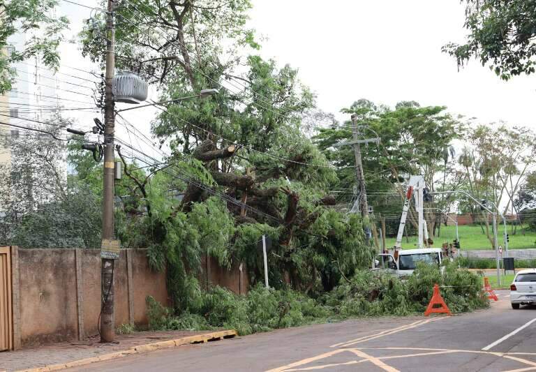 Campo Grande News