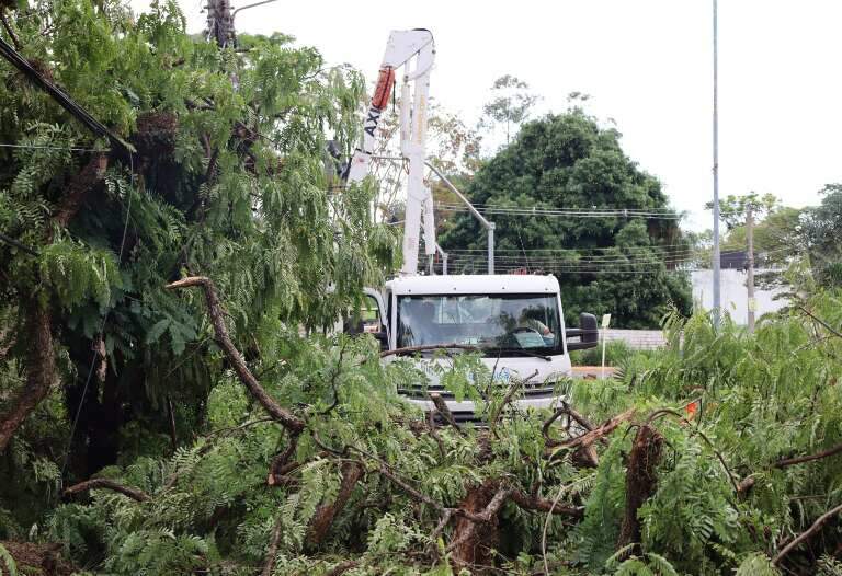 Campo Grande News