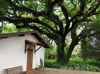 Como era antes, no cenário da casa no Monte Castelo. (Foto: Ângela Kempfer/Arquivo)