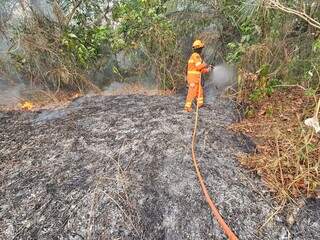 Bombeiro combatendo fogo no Pantanal. (Foto: Governo de MS)