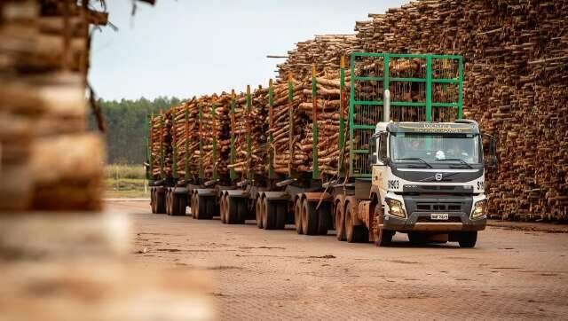 Governo far&aacute; t&uacute;nel para hexatrens atravessarem rodovia