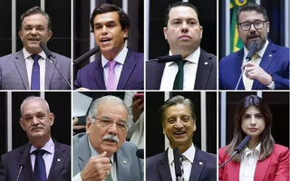 De cima para baixo, da esquerda para a direita: deputados Vander Loubet (PT), Beto Pereira (PSDB), Rodolfo Nogueira (PL), Marcos Pollon (PL), Geraldo Resende (PSDB), Dr. Luiz Ovando (PP), Dagoberto Nogueira (PSDB) e Camila Jara (PT). (Foto: Reprodução)