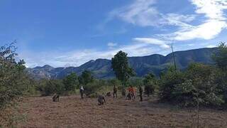 Brigada Alto Pantanal durante plantio de mudas na Serra do Amolar realizado em junho de 2023 (Foto: Arquivo/IHP)