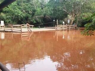 Sempre de águas cristalinas, rio foi tomado por lama em 2018, problema que passou a atingir rios de Bonito e Jardim (Foto: Arquivo/ Direto das Ruas)