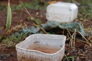 Água acumulada em potes faciliata a reprodução do mosquito da dengue. (Foto: Arquivo/Campo Grande News)