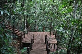 Deck sobre as nascentes pode ser visitado no Parque Matas do Segredo (Foto: Divulgação)