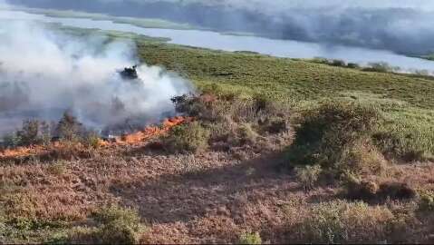 No Dia do Pantanal, evento debater&aacute; impactos sociais e ambientais dos inc&ecirc;ndios