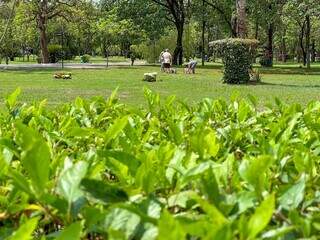 Jardim das Primaveras, o primeiro cemitério-parque, abriu as portas em 1973. (Foto: Marcos Maluf)