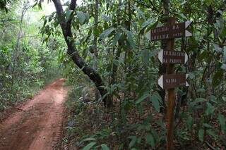 Trilhas são alguns dos atrativos do Parque Matas do Segredo (Foto: Divulgação)