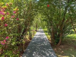 Estética de cemitério-parque inclui flores e muito verde. (Foto: Marcos Maluf)