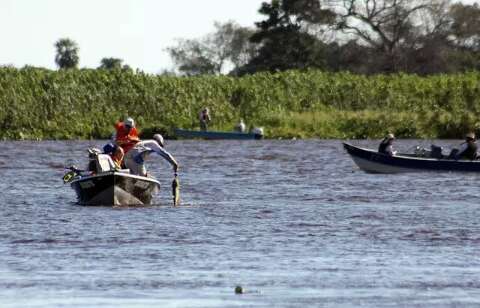 Pescadores e comércios devem declarar estoque de peixes, após início da piracema