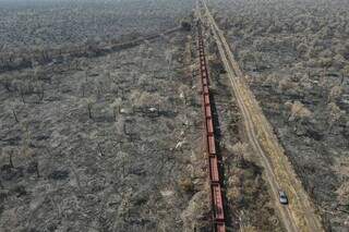 Área queimada após incêndio que se iniciou em manutenção de ferrovia em Corumbá. (Foto: Ibama)