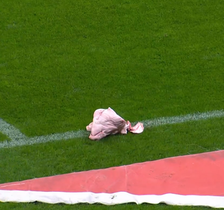 Cabeça de porco foi jogada por torcedores no gramado da Neo Química Arena. (Foto: Reprodução/Globoplay)