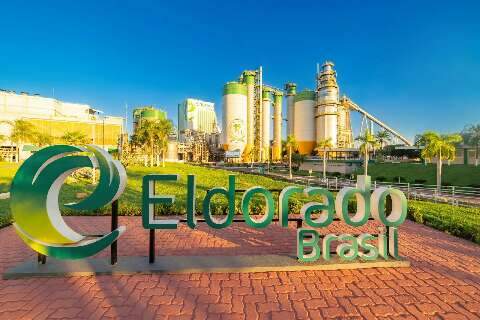 Incra mant&eacute;m parecer que nega controle da Eldorado &agrave; Paper Excellence 