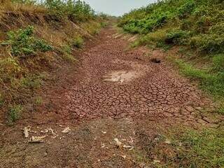 Onde havia rio, virou seca, em área na Aldeia Cachoeirinha, em Aquiduana (Foto/Arquivo)