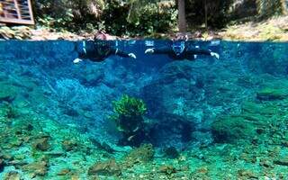 Em Bonito, o balneário Nascente Azul é uma boa opção para aproveitar o feriado (Foto: Reprodução)