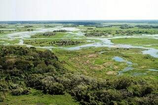 Maior planície alagada do mundo, Pantanal Sul-mato-grossense possui 9,73 milhões de hectares. (Foto: Divulgação/Famasul)