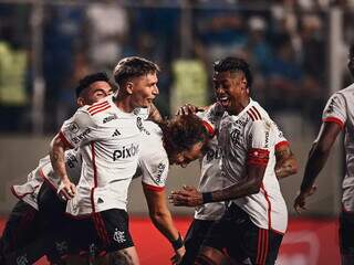 Jogadores comemoram vitória do Rubro-Negro. (Foto: Marcelo Cortes/Flamengo)