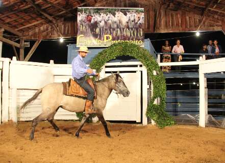 Feira Agropecu&aacute;ria do Pantanal ter&aacute; primeiro shopping do cavalo pantaneiro