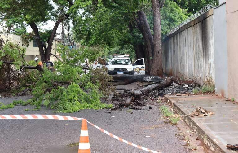 Campo Grande News