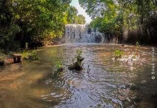 Paraíso das Águas fica a 275 quilômetros de Campo Grande (Foto: Silas Ismael/Rota Cerrado Pantanal)