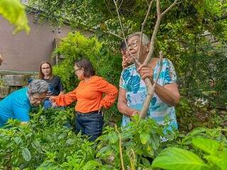 Ideia é espalhar as informações sobre plantas nutritivas. (Foto: Marcos Maluf)