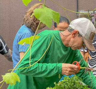 Hoje, sua preocupação é em manter sensibilidade para lidar com os vegetais e hortaliças. (Foto: Marcos Maluf)