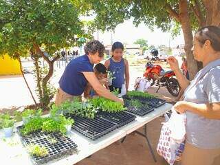 Para renovar &ldquo;verde&rdquo;, moradores do Itamarac&aacute; plantam 25 &aacute;rvores em pra&ccedil;a