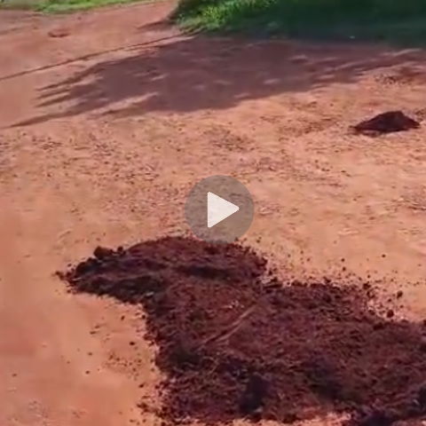 Cansado de esperar asfalto, morador decide tapar buracos com terra e cascalho