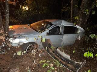 Motorista capota picape ao tentar desviar de fam&iacute;lia de capivaras