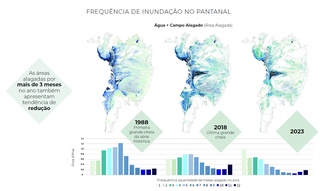 &quot;E depois do fogo?&quot;: o que tem sido feito para evitar o fim do Pantanal?