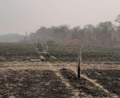 Senar calcula R$ 49,5 milh&otilde;es de preju&iacute;zos pelo fogo em 120 fazendas do Pantanal