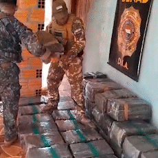 Ag&ecirc;ncia antidrogas destr&oacute;i 24 t de maconha na linha internacional