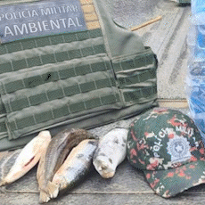 Na primeira semana de Piracema, peixarias s&atilde;o multadas em quase R$ 8 mil 