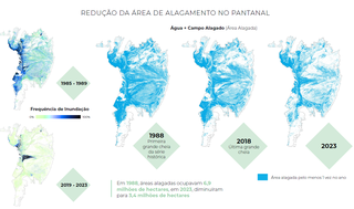 &quot;E depois do fogo?&quot;: o que tem sido feito para evitar o fim do Pantanal?