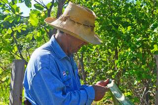 Passeio tem paradas estratégicas, em que Edson apresenta plantas nativas e suas funções; na imagem, ele ensina a como extrair água potável de um caraguatá (Foto: Barbara Campiteli)