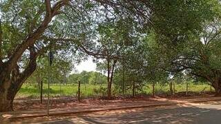 Terreno na Avenida Presidente Manoel Ferraz de Campos Salles onde será construído prédio na beira do Parque dos Poderes (Foto: Izabela Cavalcanti)