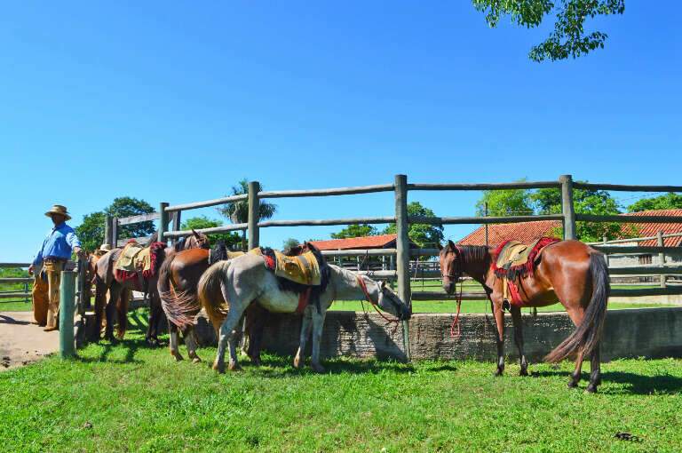 Campo Grande News