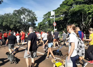 Animais e tutores em cãominhada no Parque dos Poderes, em Campo Grande em 2023 (Foto: Idaicy Solano)