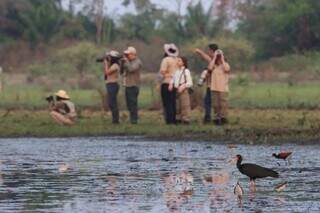 Evento de observa&ccedil;&atilde;o de aves acontece s&aacute;bado no Parque das Na&ccedil;&otilde;es Ind&iacute;genas