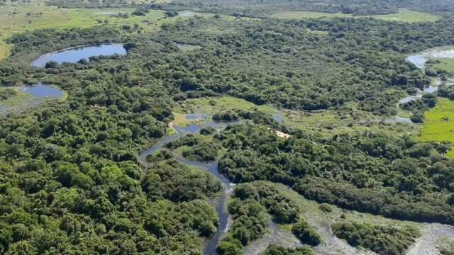 Projeto de MS fala sobre diminui&ccedil;&atilde;o de g&aacute;s carb&ocirc;nico na produ&ccedil;&atilde;o agr&iacute;cola COP 29