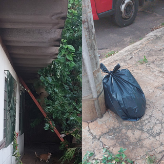 Escala na lateral da casa, usada para retirar os restos do animal morto; saco de lixo deixado para a Solurb recolher (Foto: Direto das Ruas)