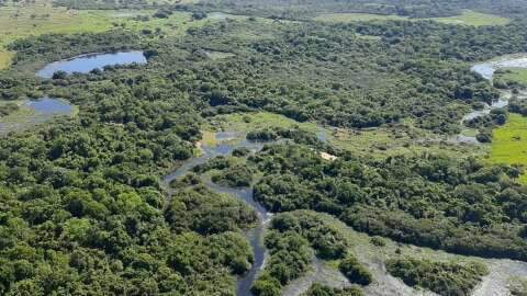 Projeto de MS fala sobre diminuição de gás carbônico na produção agrícola COP 29