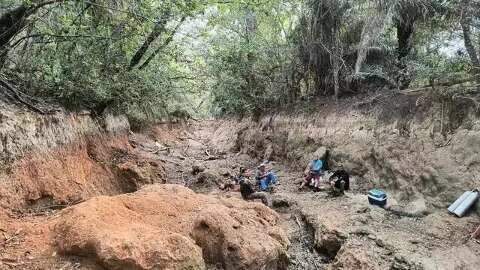 MPMS pede plantio de mudas nativas para recuperação do Rio da Prata