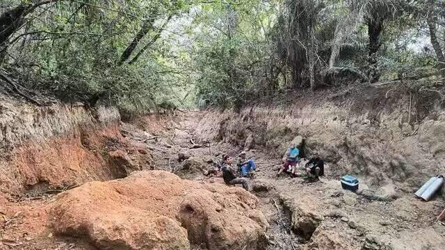 MPMS pede plantio de mudas nativas para recupera&ccedil;&atilde;o do Rio da Prata