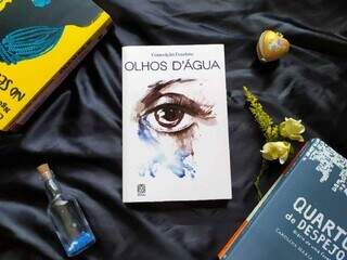 O livro Olhos d&#39;Água (2014), uma aclamada obra de autoria negra escrita por Conceição Evaristo, foi vencedor do Prêmio Jabuti. (Foto: CFEMEA)