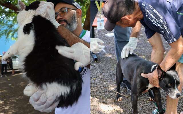 Do gato nervoso ao cachorro tranquilinho, hoje &eacute; dia de mutir&atilde;o contra raiva