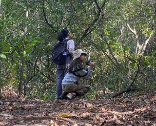 Passarinhada na trilha do Parque Estadual Matas do Segredo (Foto: Arquivo Pessoal)